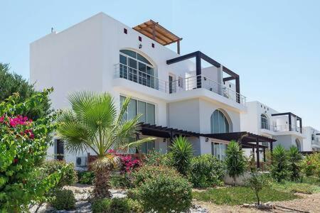 Joya Cyprus Mermaid Penthouse Apartment Agios Amvrosios  Exterior photo